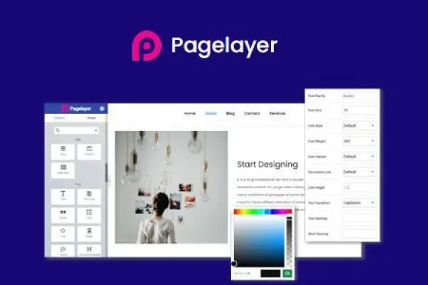 PageLayer-Pro-WordPress-Page-Builder.jpg