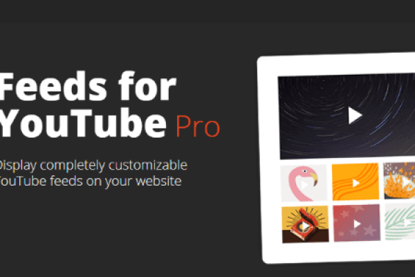 feeds-for-youtube-pro