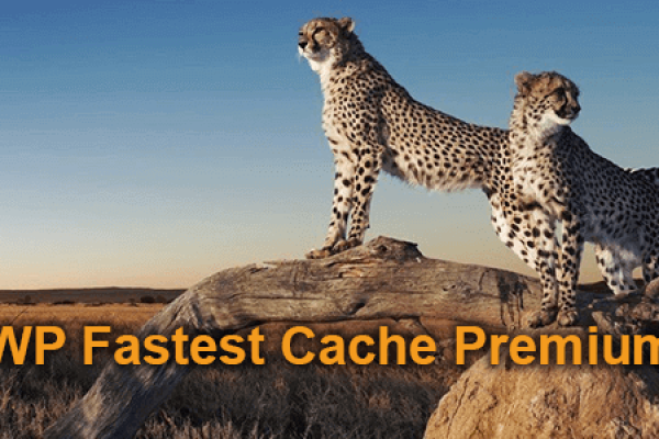 wp-fastest-cache-premium